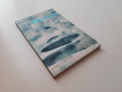 Boek met de titel: Sneeuw