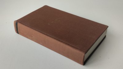 Boek met de titel: Das Schloss