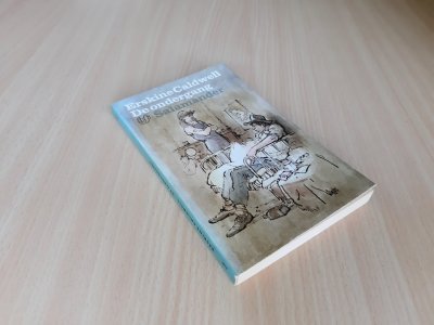 Boek met de titel: De ondergang