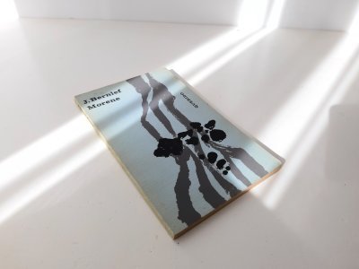 Boek met de titel: Morene