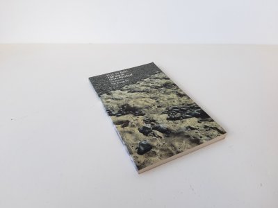 Boek met de titel: Ode aan de Grote Kiezelwal en andere gedichten