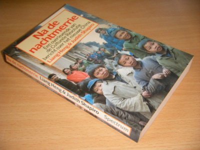 Boek met de titel: Na de nachtmerrie