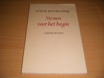 Boek met de titel: Stenen voor het begin