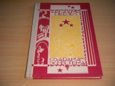 Boek met de titel: Eenzame liedjes