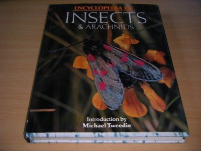 Tweedehands boek: Encyclopedia of Insects & Arachnids van auteur Maurice Burton; Robert Burton - Hardcover with dustjacket, in good condition. With pictures.