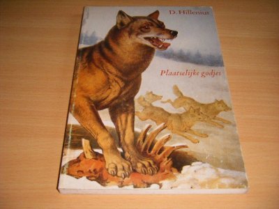 Boek met de titel: Plaatselijke godjes