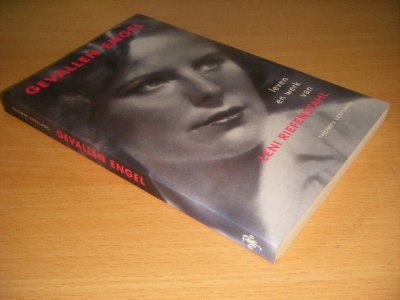 Boek met de titel: Gevallen engel