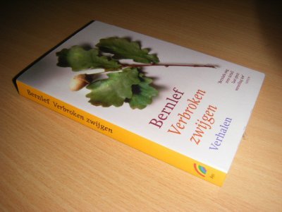 Boek met de titel: Verbroken zwijgen