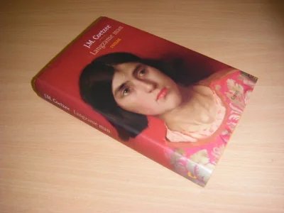 Boek met de titel: Langzame man