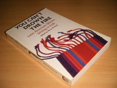 Boek met de titel: You Can't Drown the Fire.