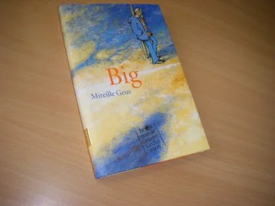 Boek met de titel: Big