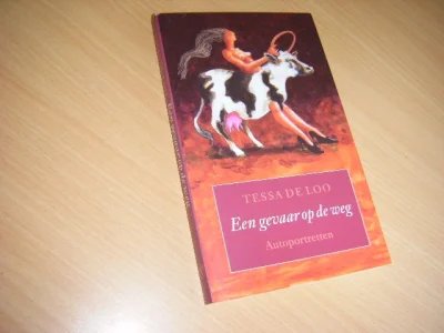 Boek met de titel: Een gevaar op de weg