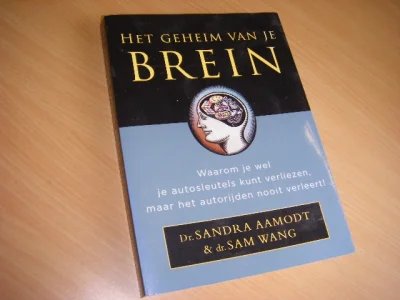 Boek met de titel: Het geheim van je brein