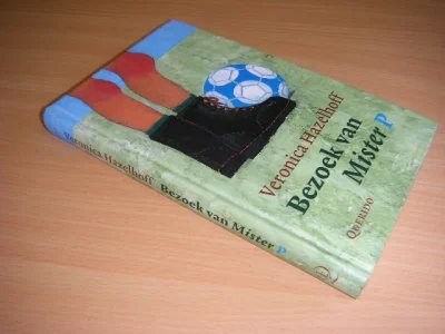 Boek met de titel: Bezoek van Mister P