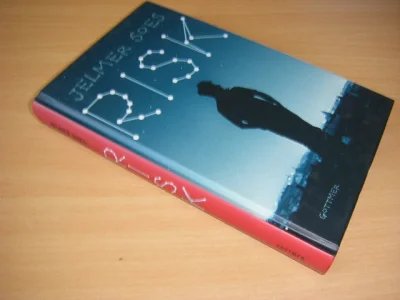 Boek met de titel: Risk