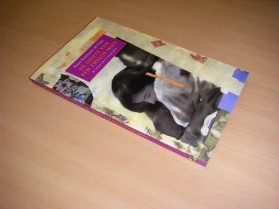 Boek met de titel: De diepte van een Zweeds meer