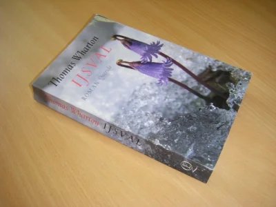 Boek met de titel: IJsval