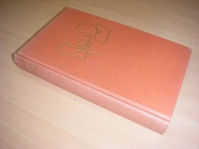 Boek met de titel: De  filmheld en het gidsmeisje