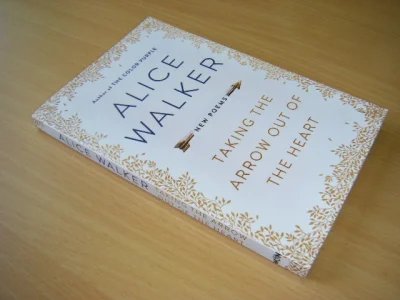 Tweedehands boek: Taking the Arrow Out of the Heart van auteur Alice Walker  - Engelstalige paperback, in zeer goede staat. 
