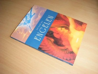 Tweedehands boek: Het boek der engelen van auteur Francis Melville - Paperback, als nieuw