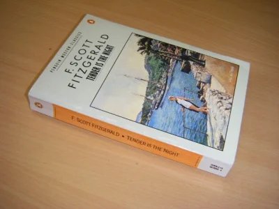 Boek met de titel: Tender is the Night