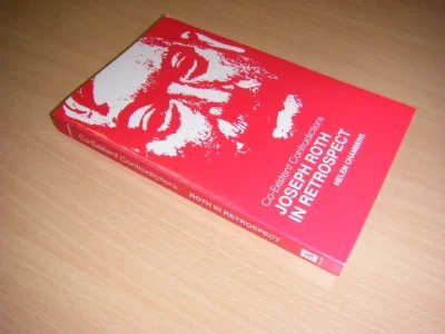 Boek met de titel: Co-existent Contradictions. wete