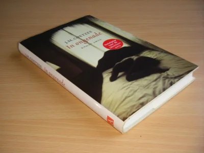 Boek met de titel: In ongenade