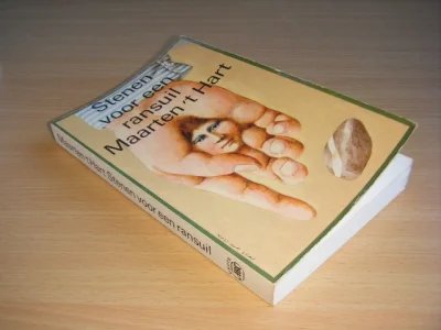 Boek met de titel: Stenen voor een Ransuil