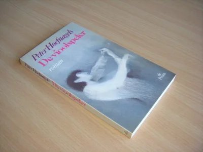 Boek met de titel: De vioolspeler