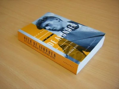 Boek met de titel: Over De avonden De eerste roman van Gerard Reve