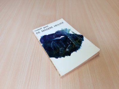 Boek met de titel: De magere heilige