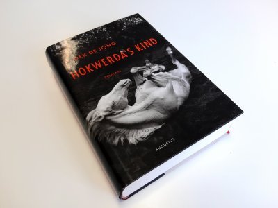 Boek met de titel: Hokwerda's kind