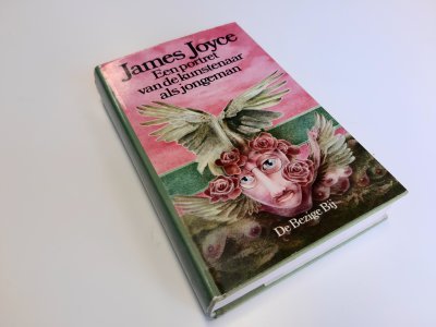 Boek met de titel: Een Portret Van de Kunstenaar Als Jongeman