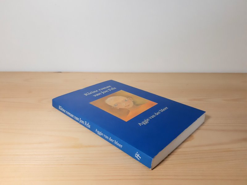 Boek met de titel: Kleine roman van Jon Fels