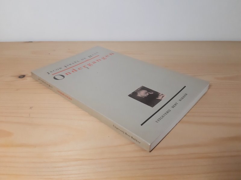 Boek met de titel: Ondergangen