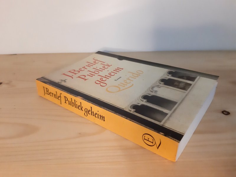 Boek met de titel: Publiek geheim