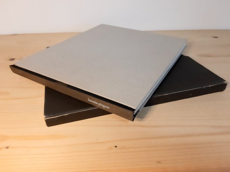 Tweedehands boek: Insania Pingens van auteur Jean Cocteau, Georg Schmidt - Engelstalige hardcover linnen gebonden in cassette. Cassette duidelijke slijtage, boek is onbeschadigd. Witte bladzijdes licht verkleurd. Onbeschreven en netjes.