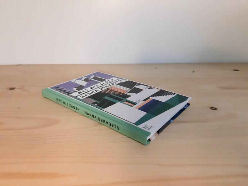 Boek met de titel: Wat wij zagen