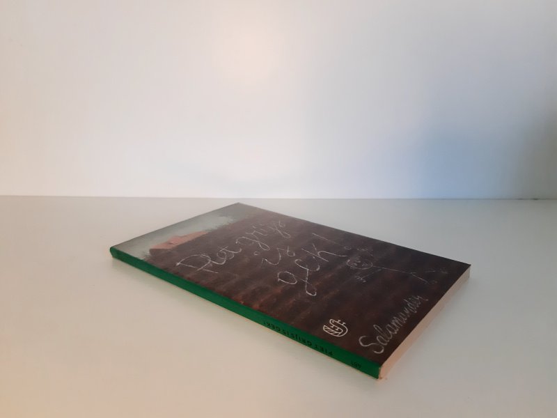 Boek met de titel: Piet Grijs is gek!- salamander reeks