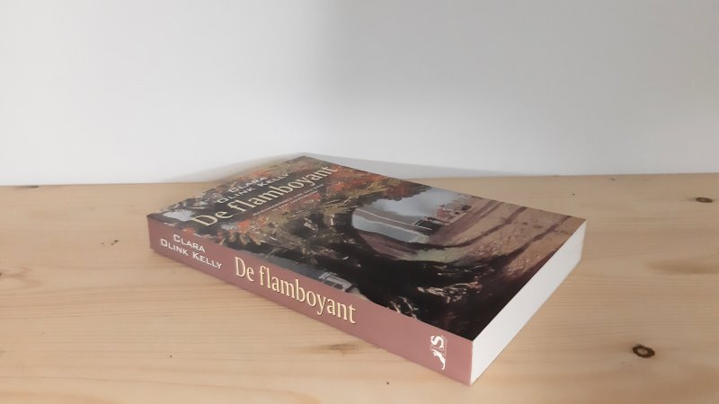Boek met de titel: De flamboyant