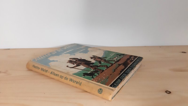 Boek met de titel: Alleen op de wereld - Serie oud goud