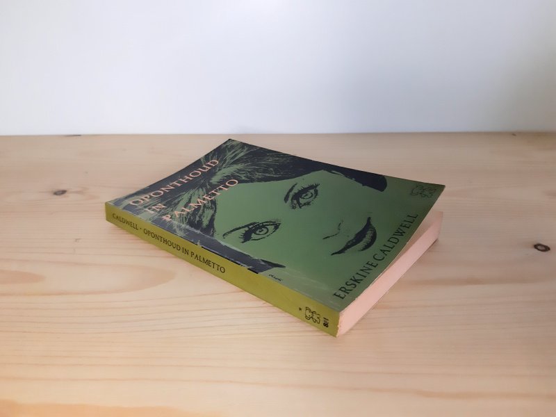 Boek met de titel: Oponthoud in Palmetto - Zwarte beertjes reeks 881