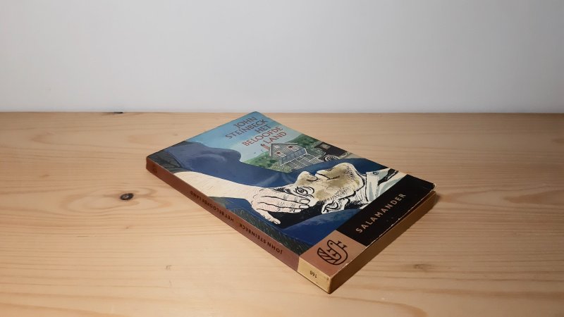 Boek met de titel: Het beloofde land