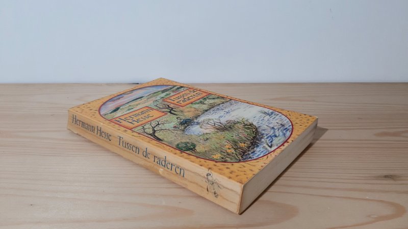 Boek met de titel: Tussen de raderen