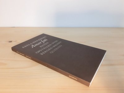 Boek met de titel: Amor fati, zeven opstellen over Bergen-Belsen