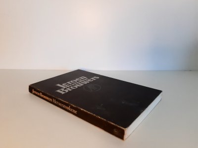 Boek met de titel: Het verzonkene