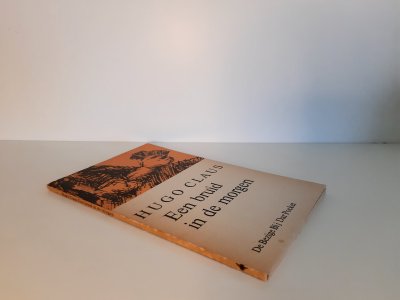 Boek met de titel: Een bruid in de morgen