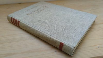 Boek met de titel: Russisch reisverhaal