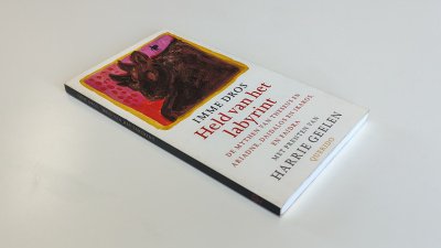 Boek met de titel: Held van het labyrint