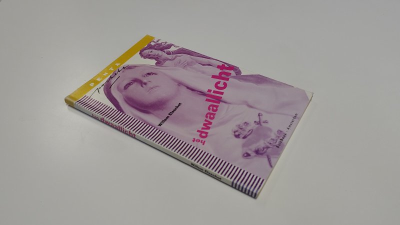 Boek met de titel: Het dwaallicht